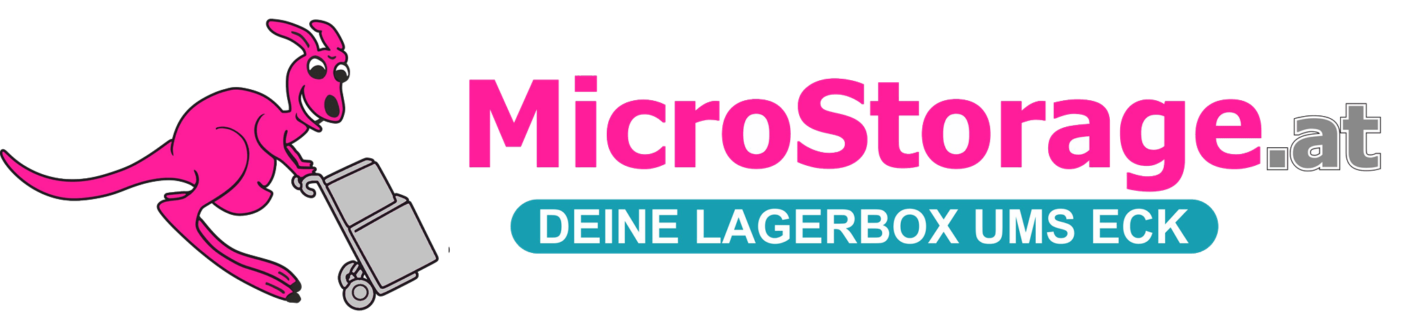 Microstorage Logo